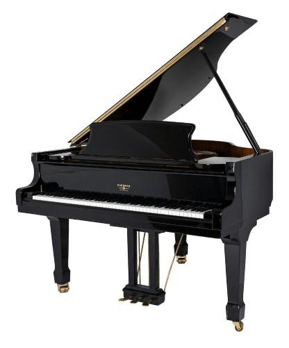 What musical instrument do you find attractive?