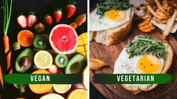 Vegan or vegetarian which do you prefer?