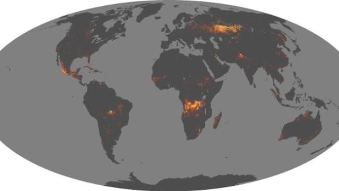 Why do you think people on the right are starting rumors that Antifa is starting the west coast wildfires?