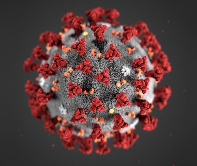 Can you still make real new friends during the pandemic?