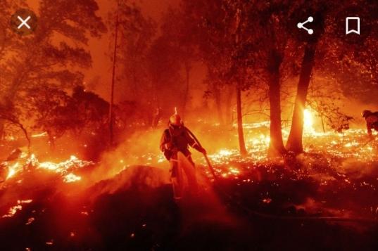 Why do people believe ca deserves its forest fires when 60 percent is government forests?