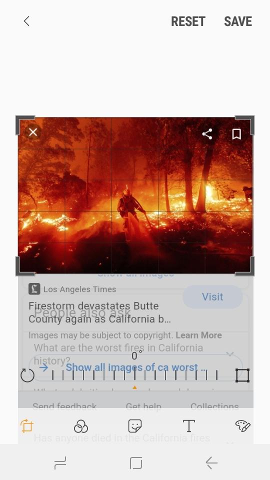 Why do people believe ca deserves its forest fires when 60 percent is government forests?
