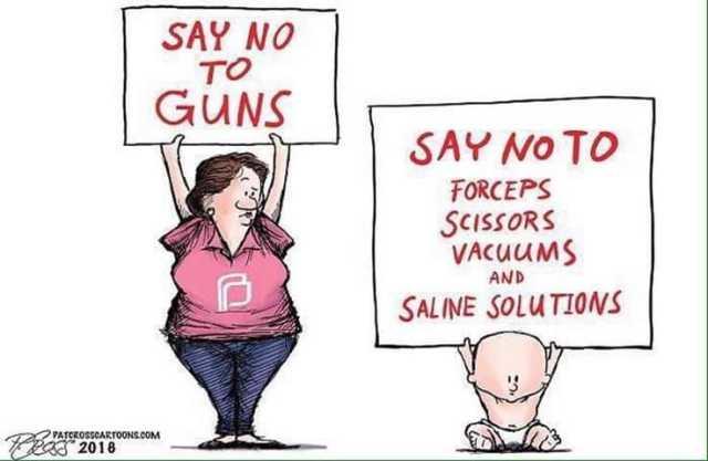 Do you agree with this images message of hypocrisy between the generally same people who espouse their anti-gun, but pro-abortion agenda?