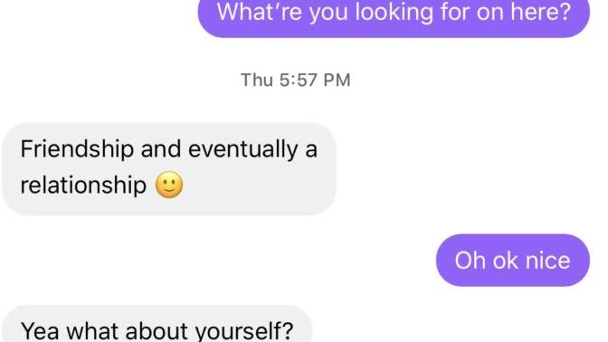 Does he seem uninterested? He’s from a dating website. I really like him. I’m the purple chat bubble. Should I ask him to hangout sometime?