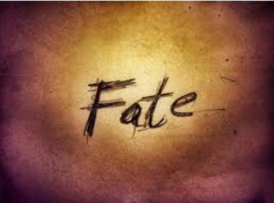 When You Find The Right Partner, Do You Think Its More:Luck Or Fate?