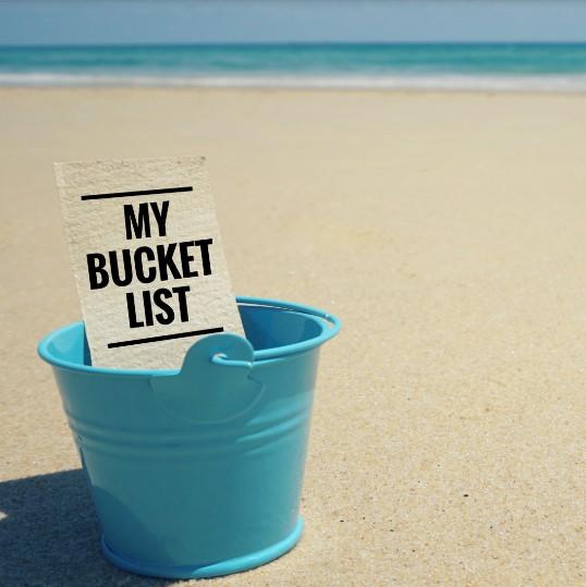 If you had a bucket list what would be one thing you would do that you havent done yet?