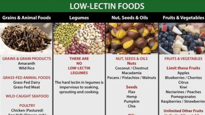 Have you ever tried a lectin free diet?