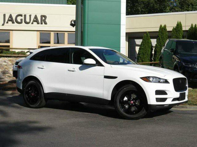 Which car should i buy?