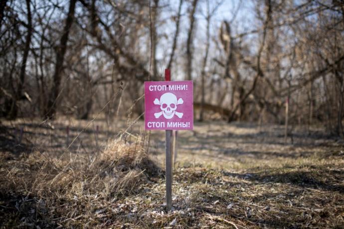 What is your WARNING?