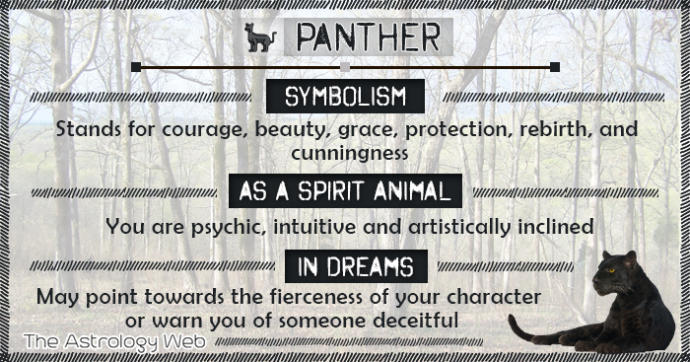What is your spirit animal?