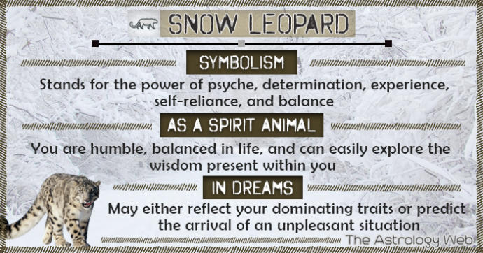 What is your spirit animal?
