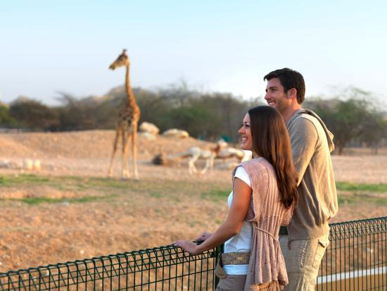 What is your preferred first date?