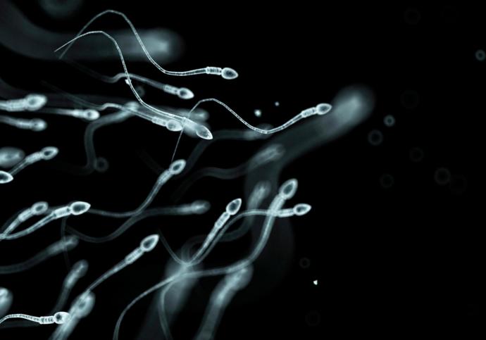 Abortion thought: Sperm is human life, too. Can you prove me wrong?