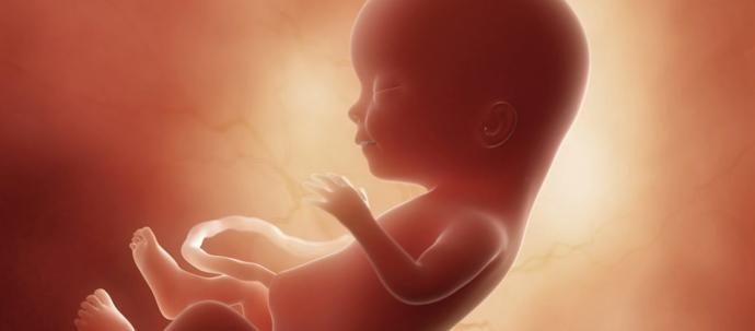 If a pregnant woman is shot and her unborn child is killed, should the perpetrator be charged with the murder of the unborn child?