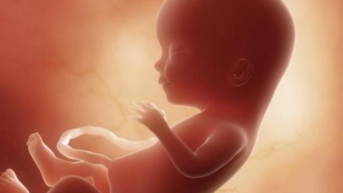 If a pregnant woman is shot and her unborn child is killed, should the perpetrator be charged with the murder of the unborn child?