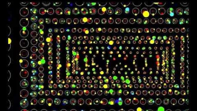 Does the Kepler-Orrey prove that intelligent life in the universe is extremely rare and possibly only limited to earth?