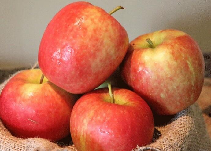What’s your favorite type of apple?