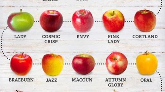 What’s your favorite type of apple?