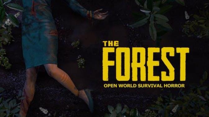 Does anyone play The Forest video game?