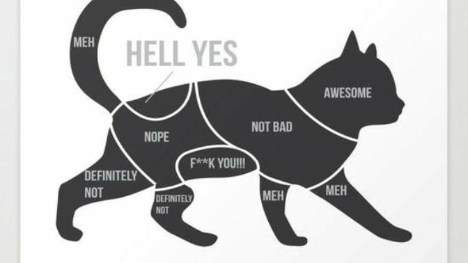 Do girls need a diagram of their body to whip out and point to sweet spots time to time? Or will men learn to keep up?