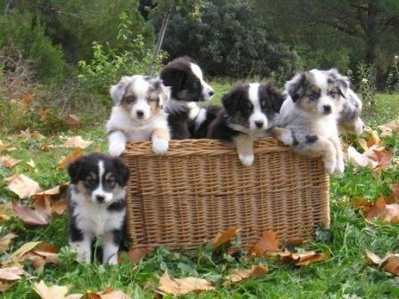 What makes your heart melt?