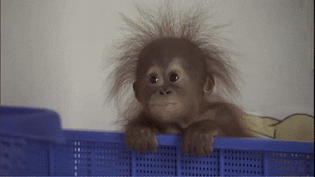 What makes your heart melt?