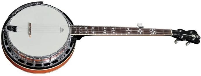 Which of the following string instruments do you play?