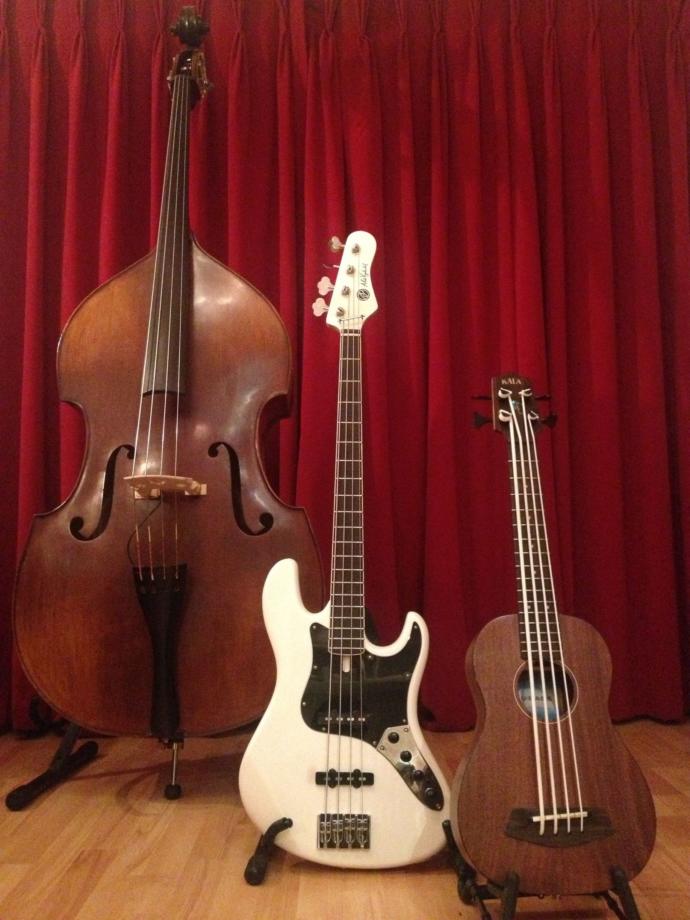 Which of the following string instruments do you play?