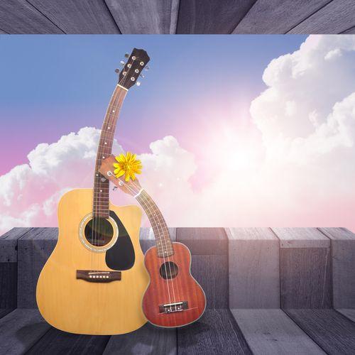 Which of the following string instruments do you play?