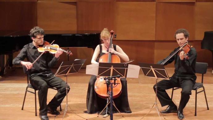 Which of the following string instruments do you play?