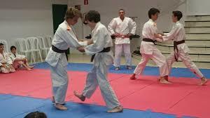 Whats the most popular martial art or combat sport in your country?
