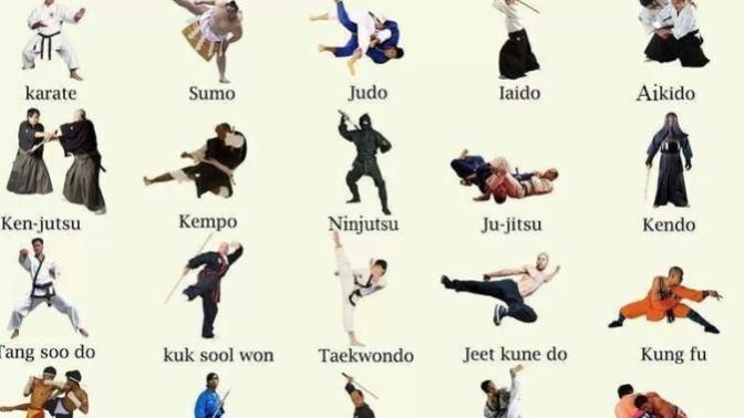 What's the most popular martial art or combat sport in your country?