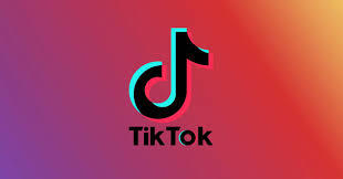 Do you find that most TikTok videos are just plain dumb and stupid and they are not even funny?
