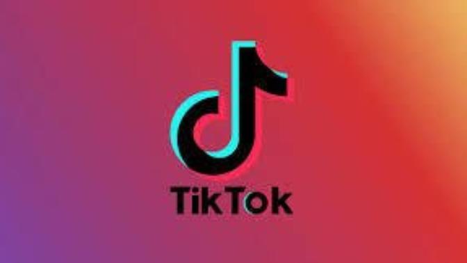 Do you find that most TikTok videos are just plain dumb and stupid and they are not even funny?