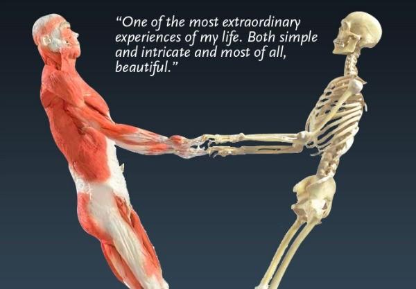 What or who causes life in the body and is death a built in mechanism by God or by evolution or by other means?