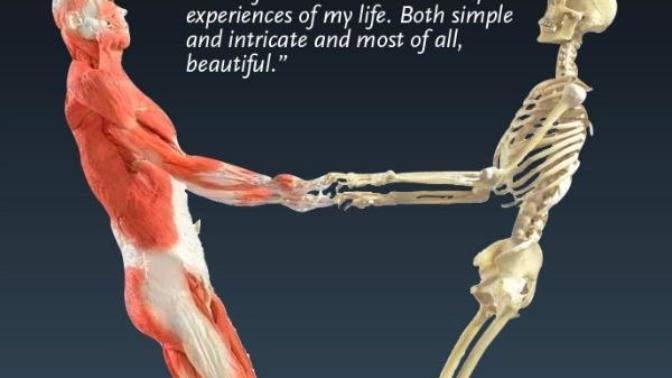 What or who causes life in the body and is death a built in mechanism by God or by evolution or by other means?