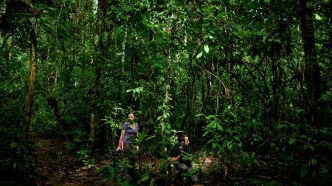 You're guaranteed a 5 million dollar check if you are willing to walk through the Amazon at night with an another person til day break, would you go?