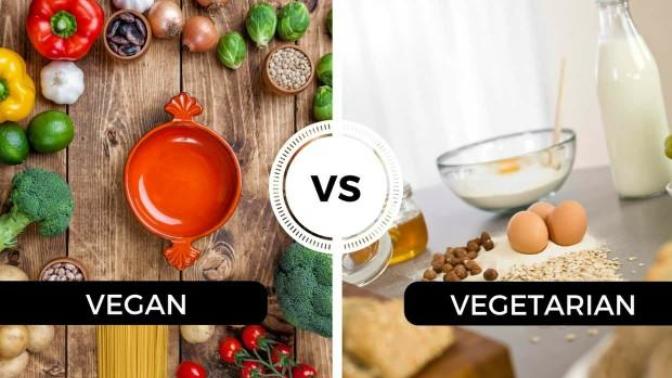 What do vegetarians think of vegans?