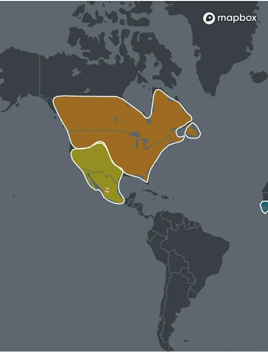 If you have taken a DNA test, what were your ancestry results?