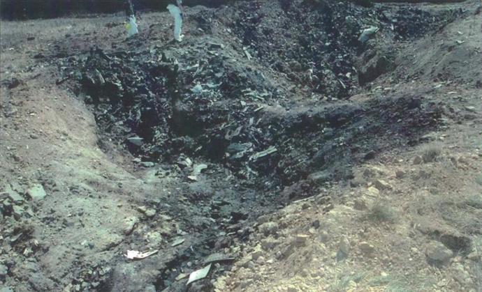 Which of these Airplane crashes seem a bit fishy, in ways that they could have been covered up by government officials and falsified information?