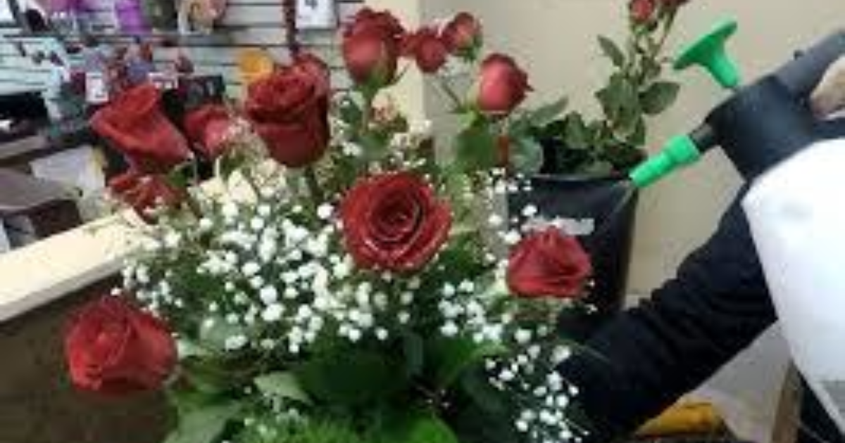 Girls, do you want to receive flowers from a guy/romantic interest