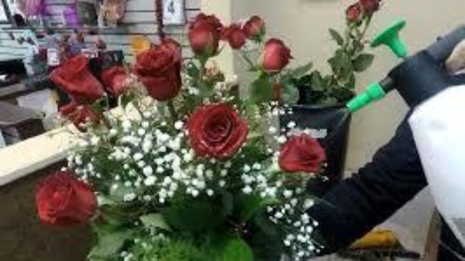 Girls, do you want to receive flowers from a guy/romantic interest?