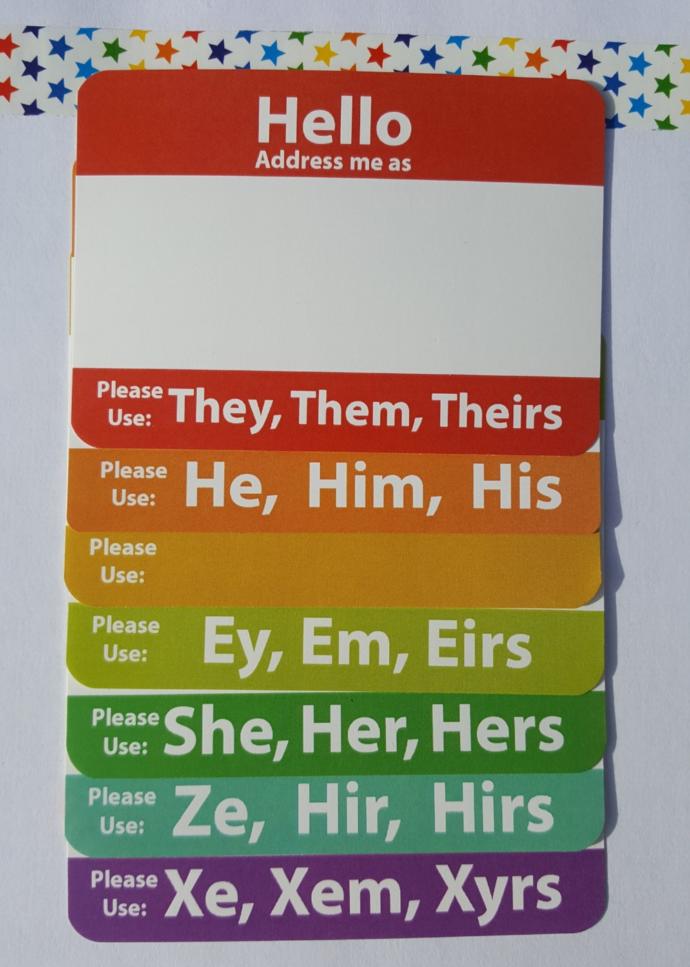 If someone asked you to refer to them with a non-binary pronoun such as Zim or Ver, would you comply?