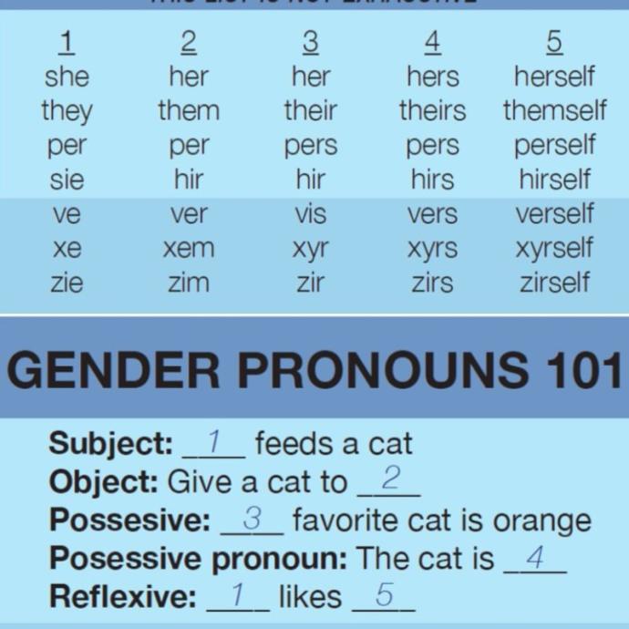 If someone asked you to refer to them with a non-binary pronoun such as Zim or Ver, would you comply?
