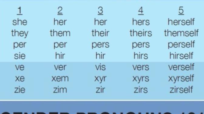 If someone asked you to refer to them with a non-binary pronoun such as Zim or Ver, would you comply?
