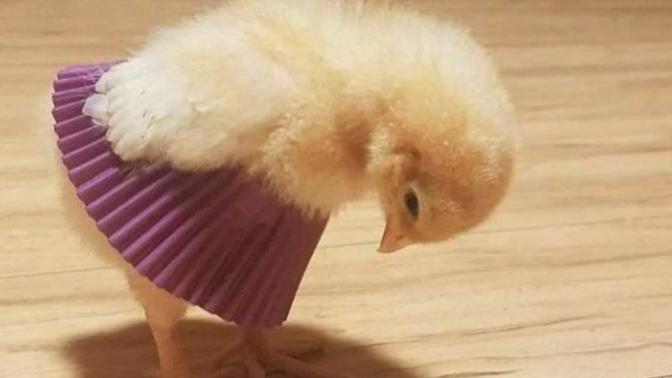 Have Something Happy or Funny To Share?