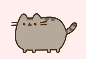Pusheen 😍