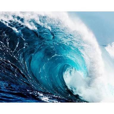 What is your favorite ANIMAL 🐺 article of CLOTHING 👗 body of WATER 💦 (Use 6 adjectives to describe each.. I will tell you what it represents 🤓)?