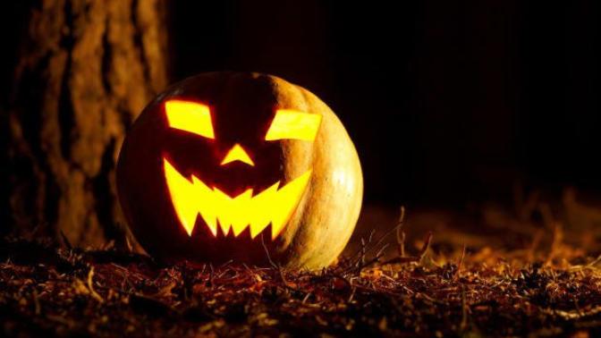With it being Halloween season does anyone have any true creepy stories?