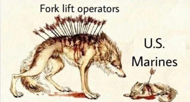 Are Alpha Males a thing of the past?